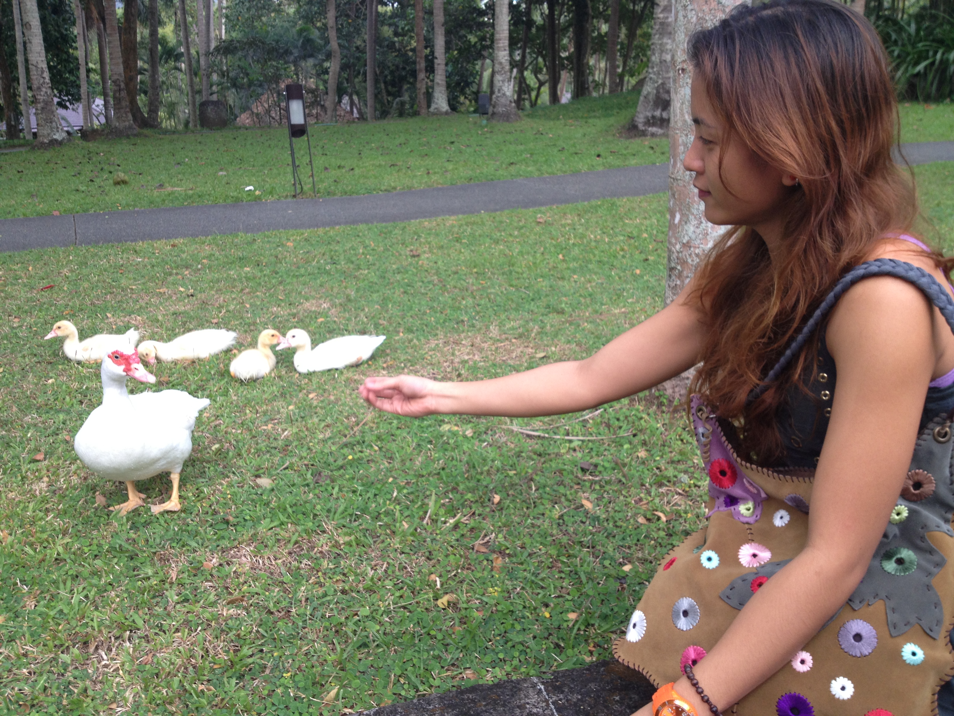 Socializing with locals