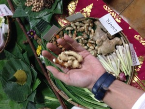 Kencur root, a vital spice in Balinese cooking