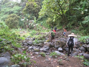 10985505_920862504615066_5902423240347646508_n