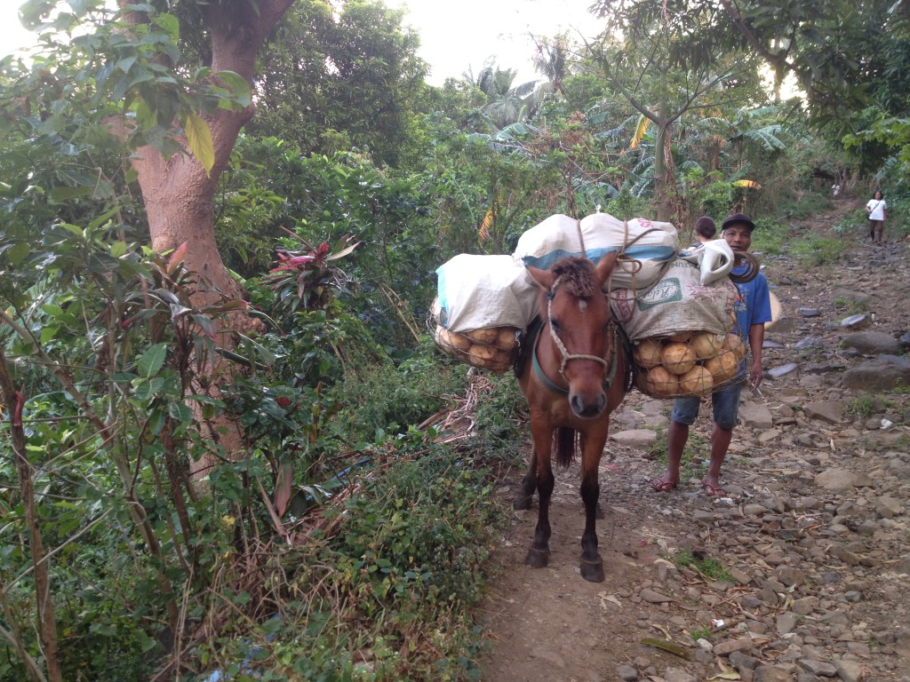 Running into locals as we proceeded to trek Mt. Sembrano