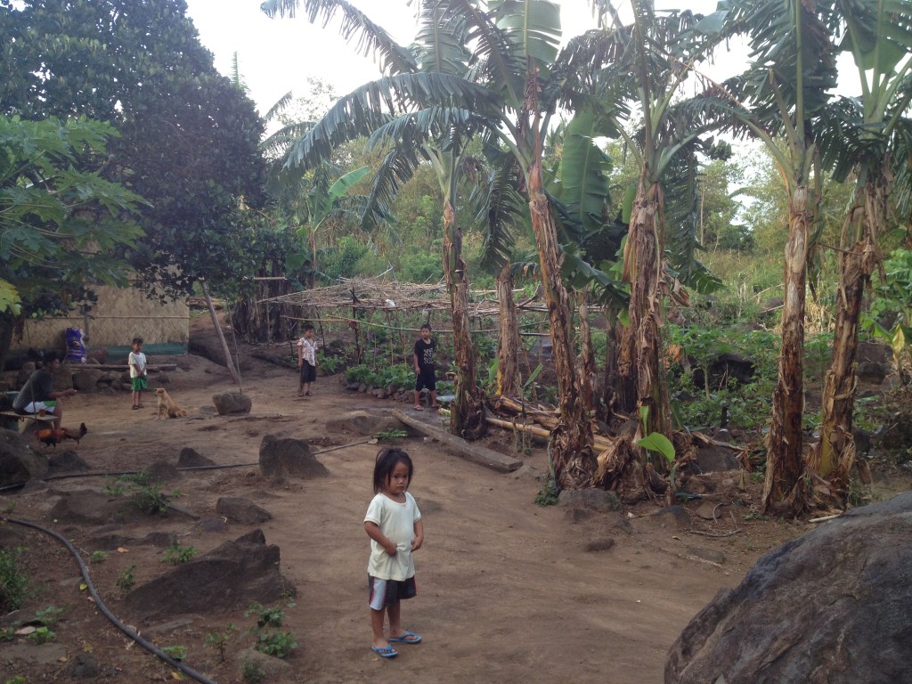 A sustainable community with an open greenhouse on the foot of the mountain