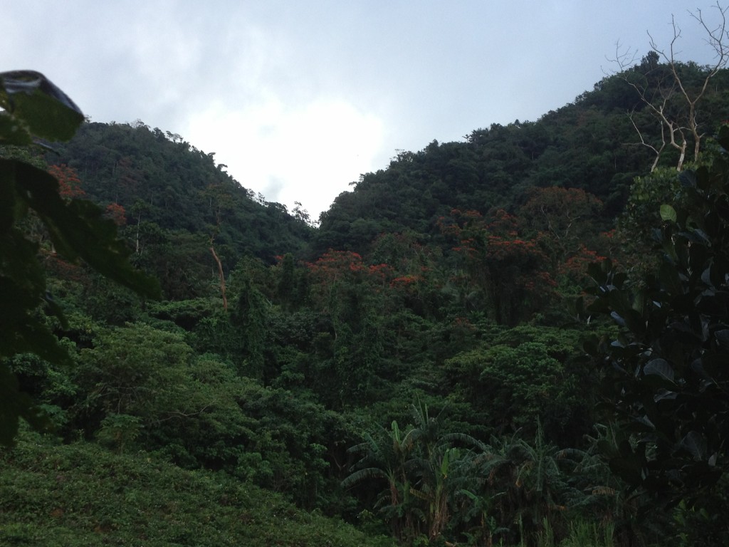 What we need to conquer, Mt Sembrano