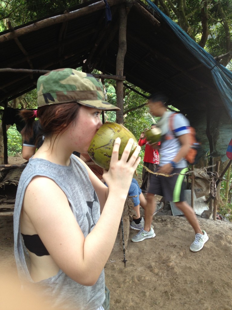 Natures finest refreshment, plucked fresh from the Tree 